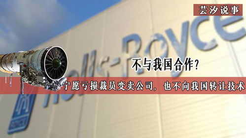 技術(shù)壁壘背后的博弈 當(dāng)合作遇冷，企業(yè)走向何方？